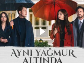 Ayni Yagmur Altinda