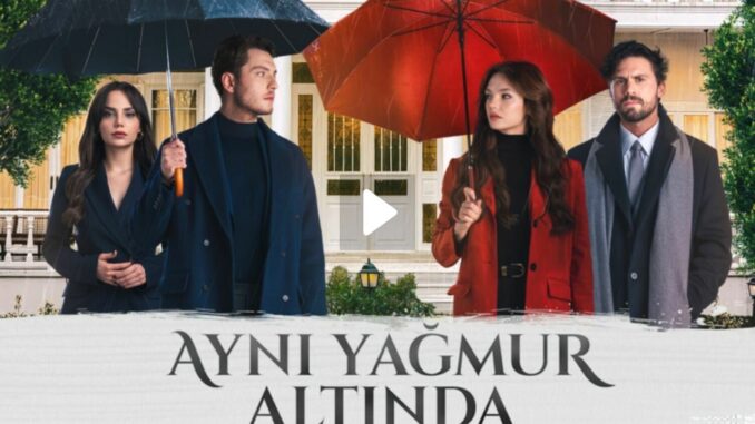 Ayni Yagmur Altinda